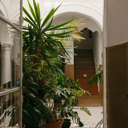 Hostal Africa Tarifa Eksteriør billede