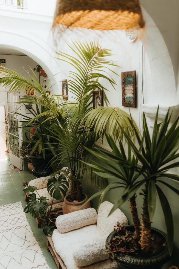 Hostal Africa Tarifa Eksteriør billede