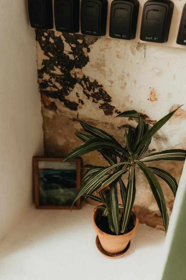 Hostal Africa Tarifa Eksteriør billede