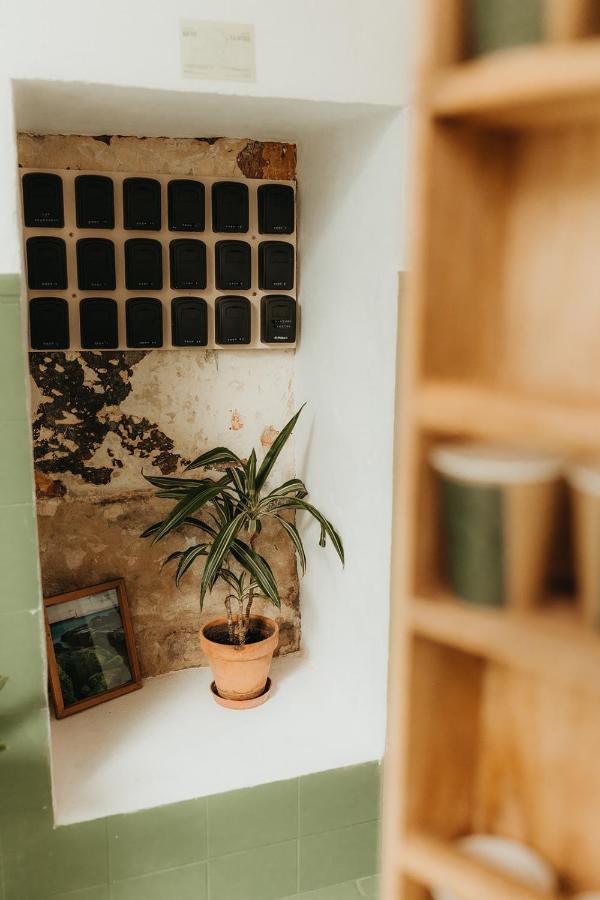 Hostal Africa Tarifa Eksteriør billede