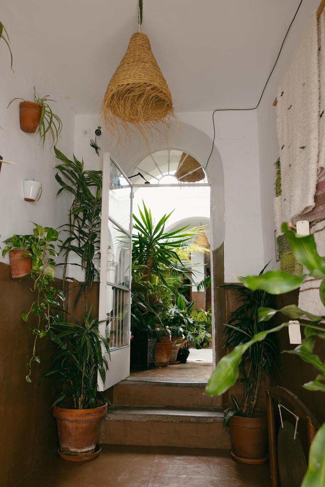 Hostal Africa Tarifa Eksteriør billede