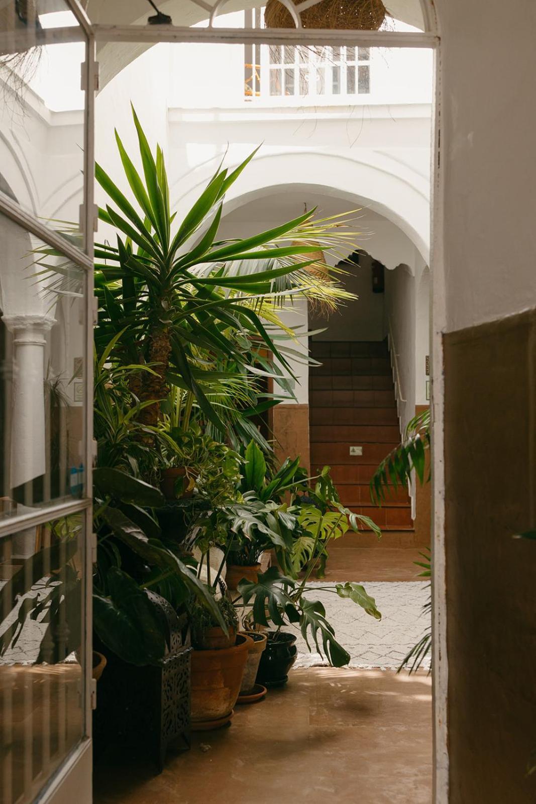 Hostal Africa Tarifa Eksteriør billede